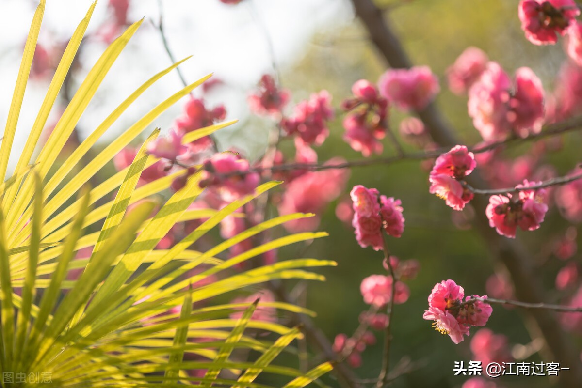 刚出炉的官宣甜句 快来收藏