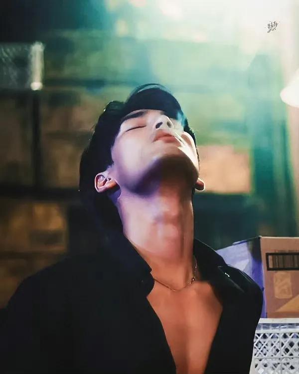 泰兰德肆意生长的野蔷薇-陈立波