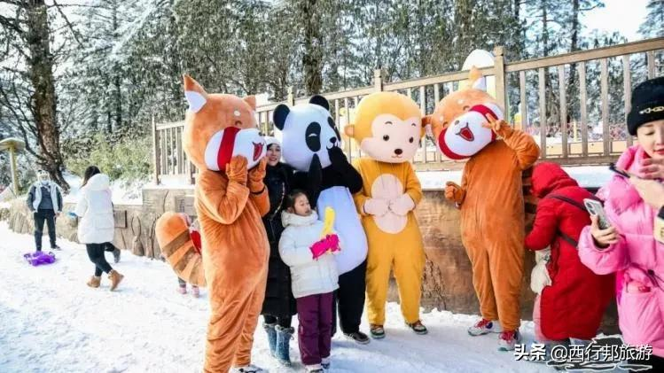 春节去哪玩?成都周边12大滑雪、赏雪、泡温泉圣地推荐