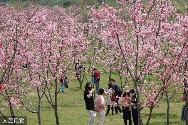 春天来了，去户外踏春旅行；不知道露营帐篷怎么选择的朋友看过来