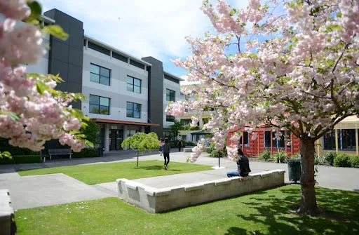 新西兰不仅牛羊肉便宜，居然最利于移民的留学项目，¥10万就能读