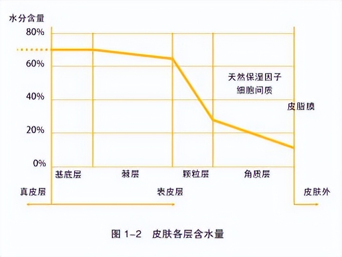 贴片面膜的诸多作用，其实是伪命题