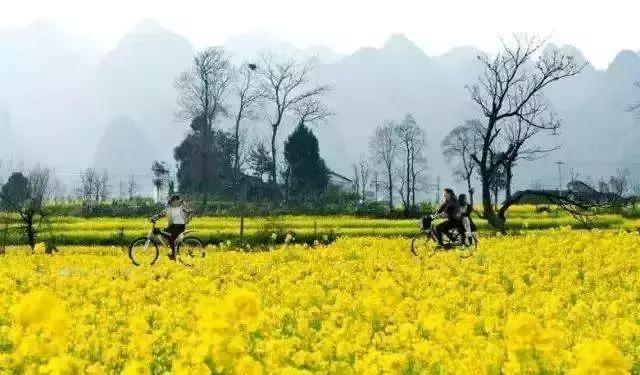 春天來了，去戶外踏春旅行；不知道露營帳篷怎么選擇的朋友看過來