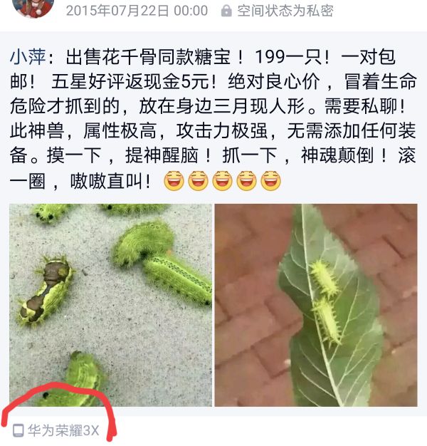 荣耀手机真的是钉子户