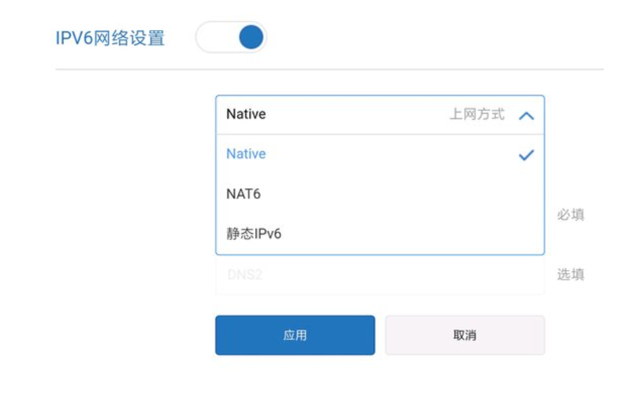 IPv6是选NAT6还是Native？