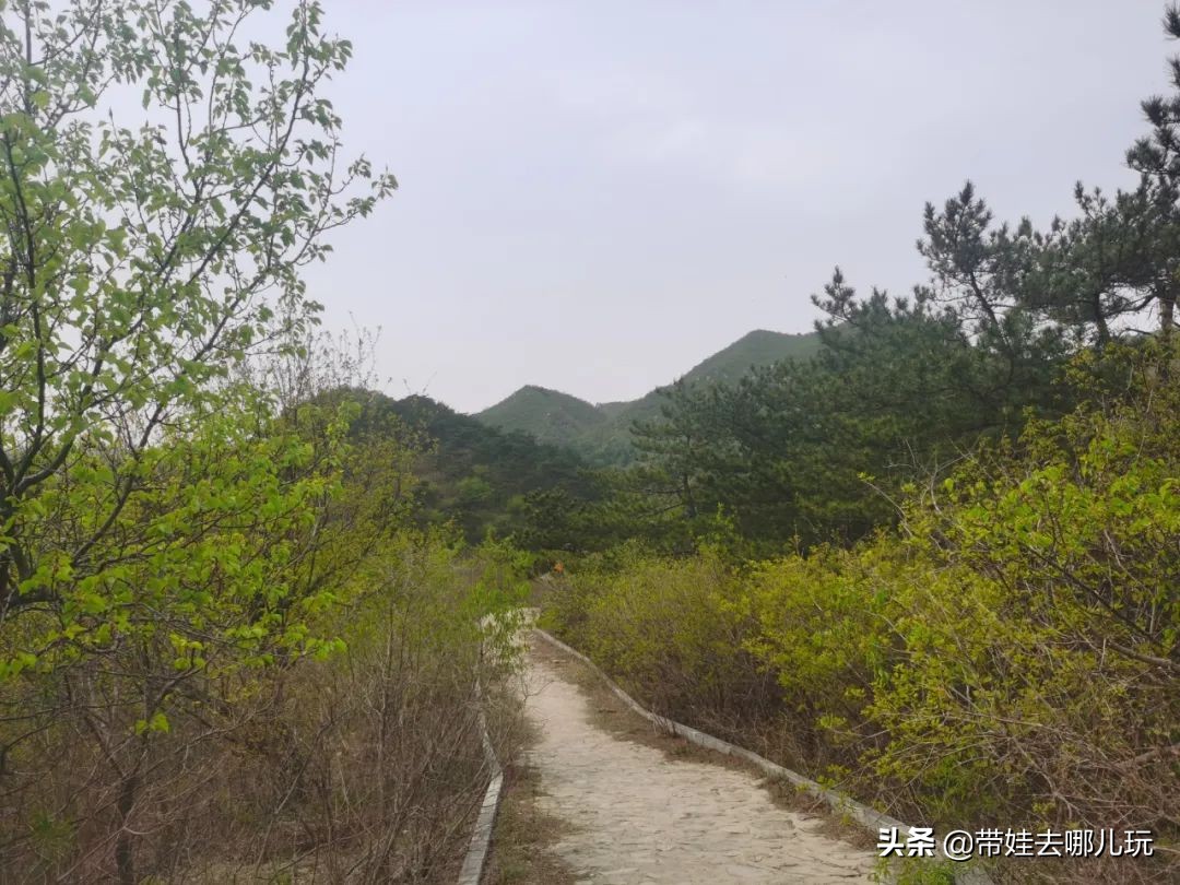 昌平旅游景点（昌平免费景区的环山步道游览推荐）