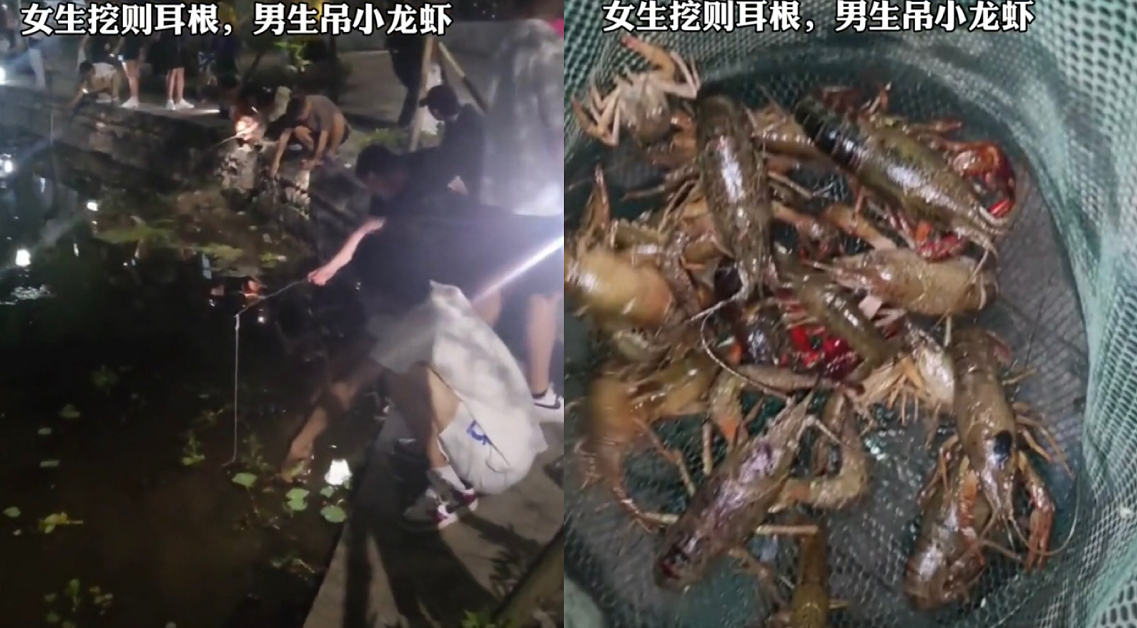 南京一高校女寝团队，制作“寝室大片”火了，网友：果然是大制作