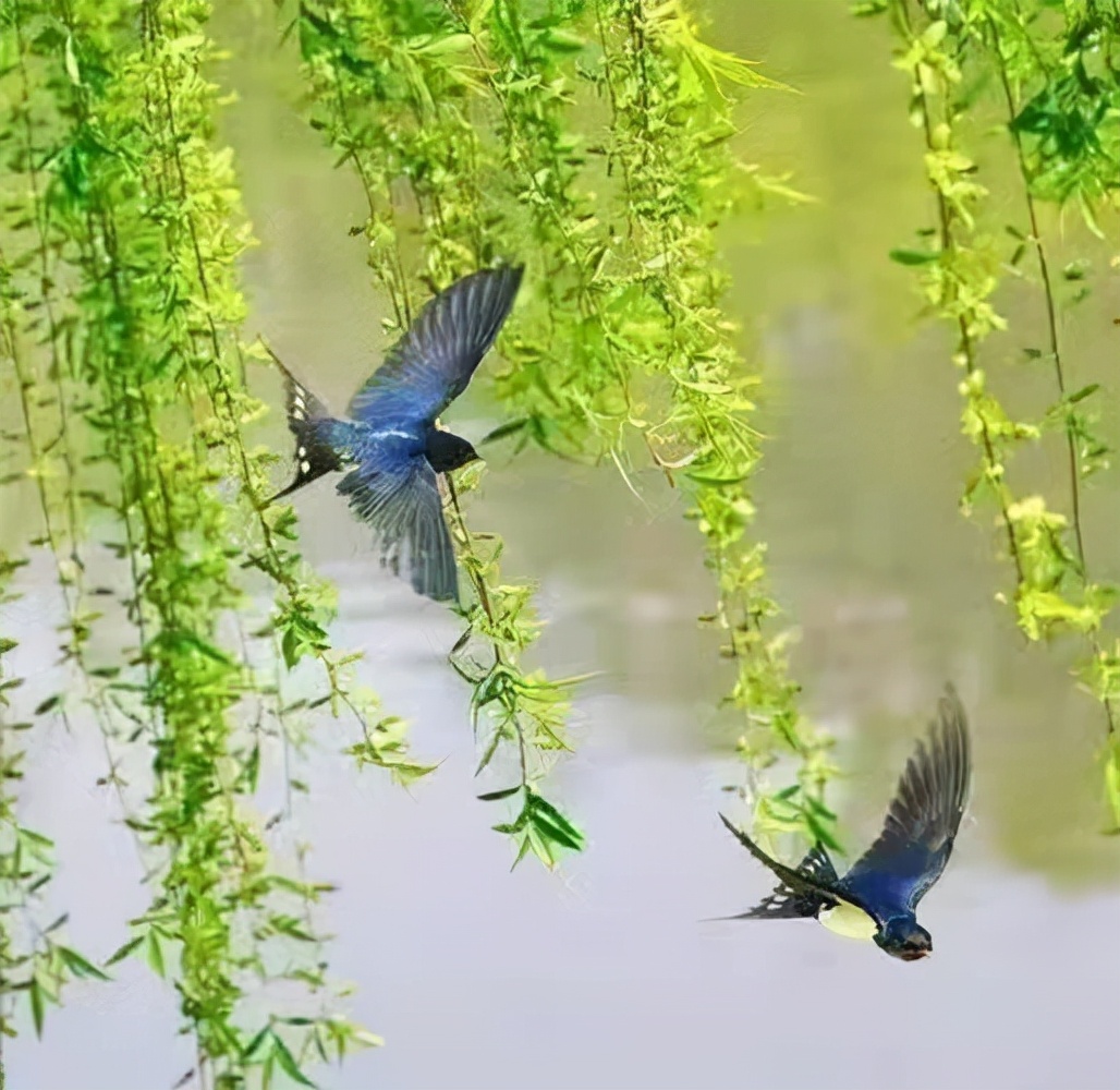 「原创」散文诗·春天的交响旋律