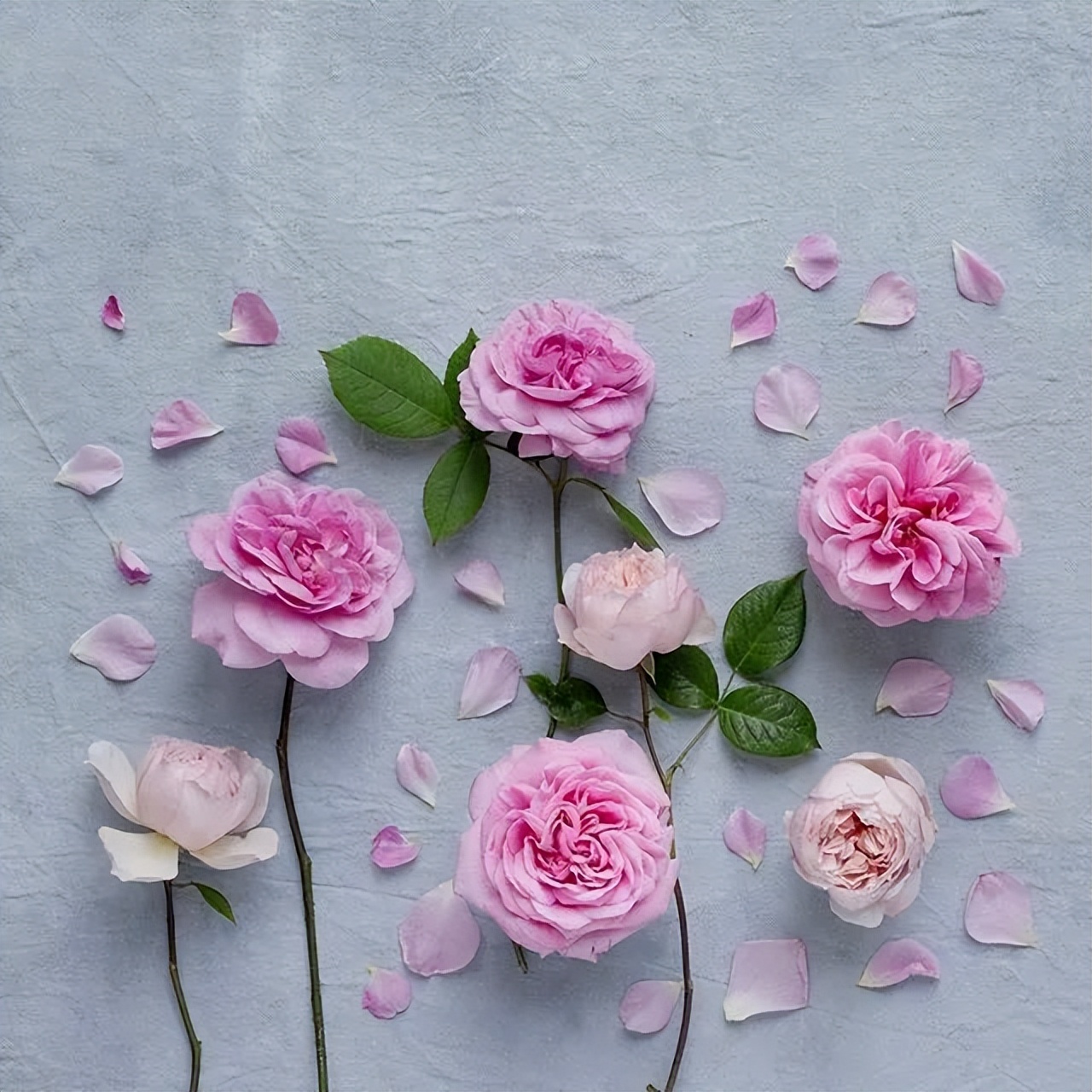 超nice的早安文案