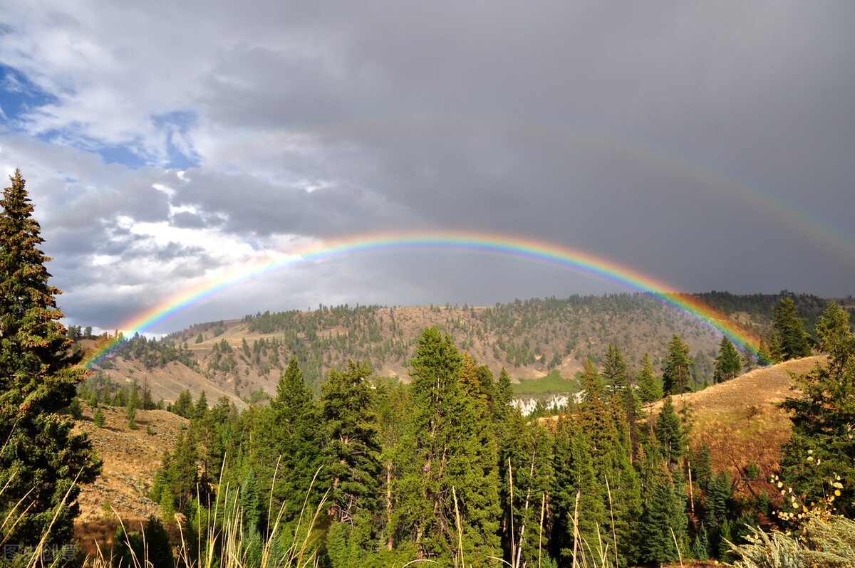 高三学生英语作文成绩变化研究
