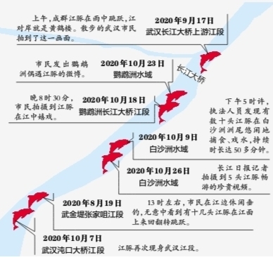 他每年提交江豚保護提案 履職十年離不開“水”