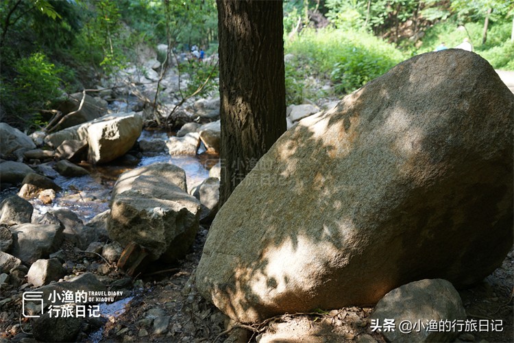 这条秦岭沟谷，一进山就能看到美景，老人、孩子来玩也合适