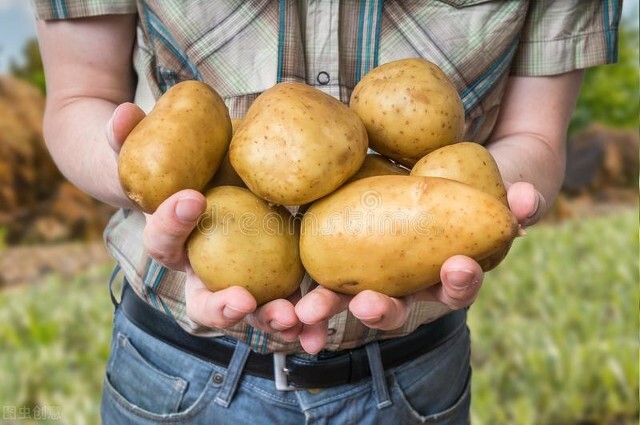 你知道种土豆一年能挣多少钱么？