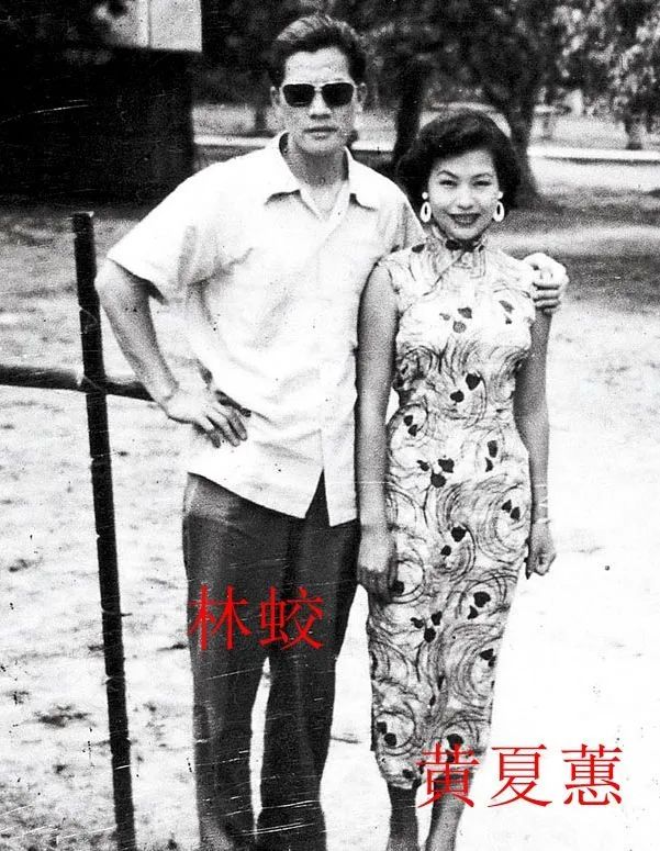 12位年过50的美人今昔颜值对比：有人还敢演丫头，有人整容致脸崩