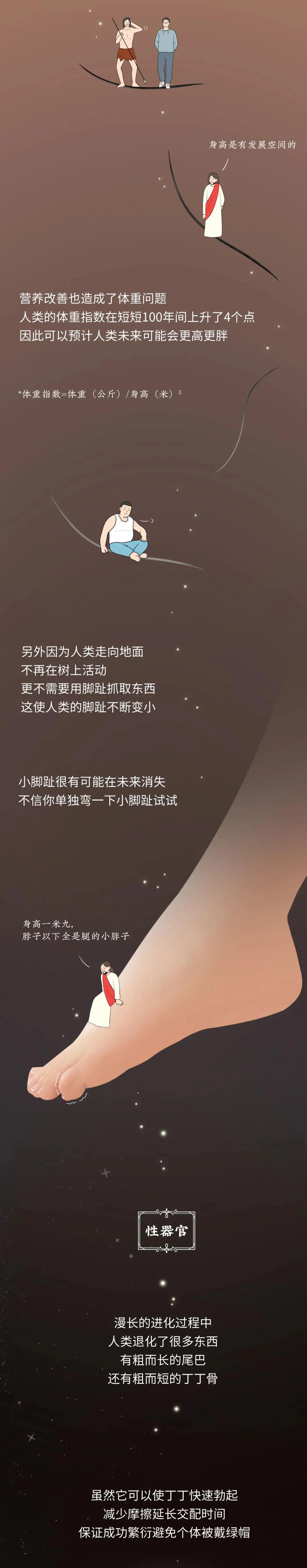 丁丁是怎么退化成今天这样的？