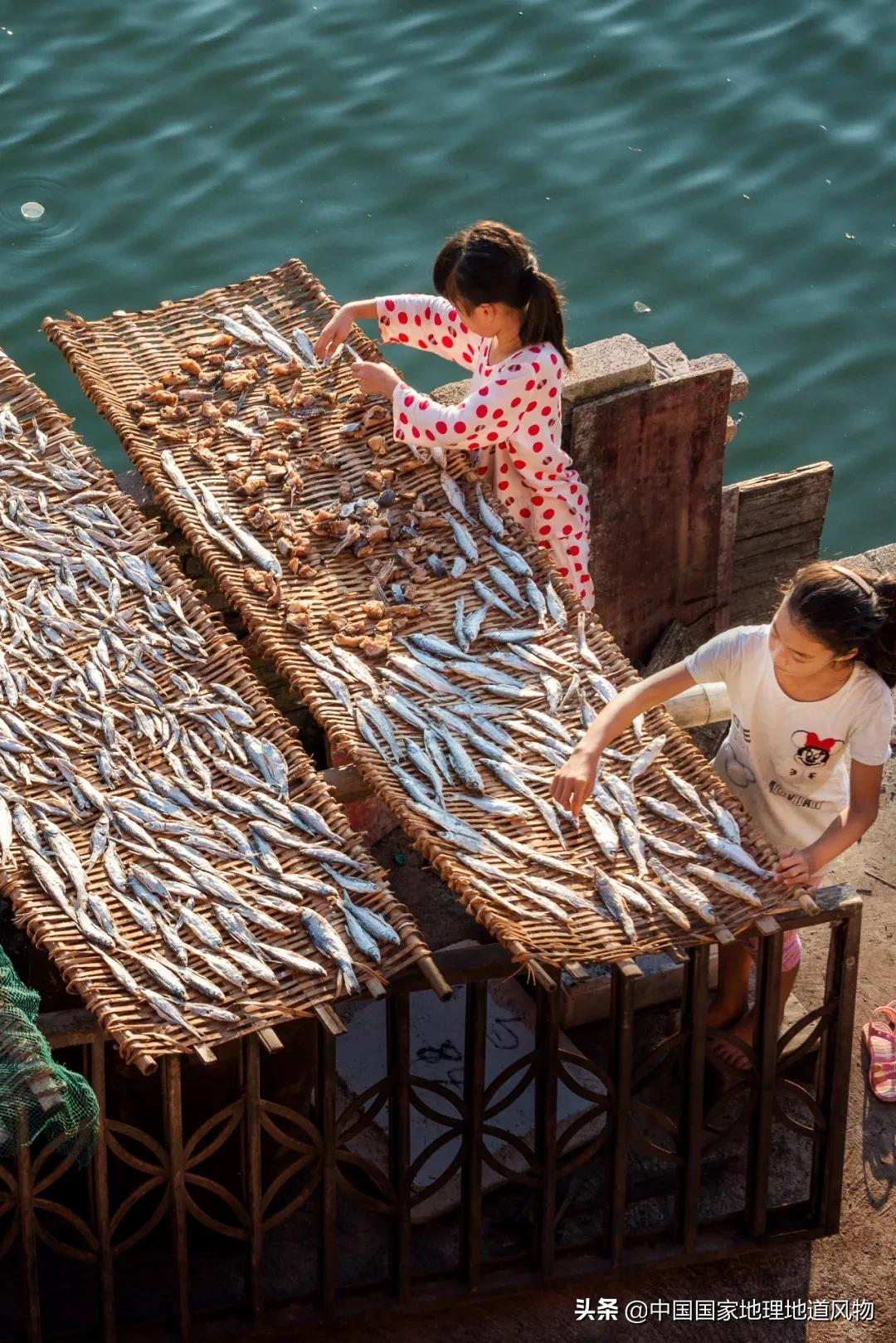 海鱼图片,海鱼图片大全