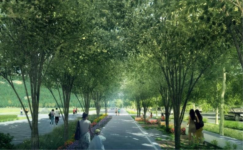 支撑冬奥会顺利申办、承担景观设计！北京林业大学频频发力、动作不断！