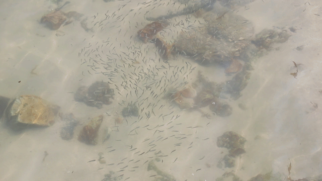 深圳10个海边沙滩，超好玩