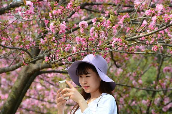 高考十大坑人专业（河南安徽两地多所大学被曝光）