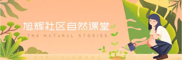 世界水日｜江苏旭辉社区海绵实践分享