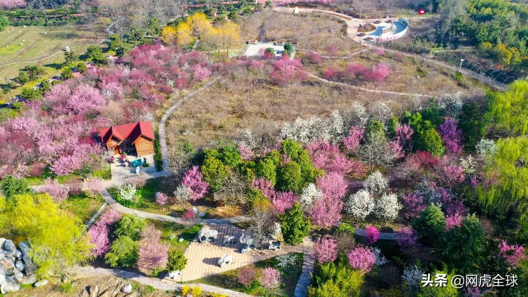 许昌“大学城”呼之欲出！市一中新校区！大型文旅项目...