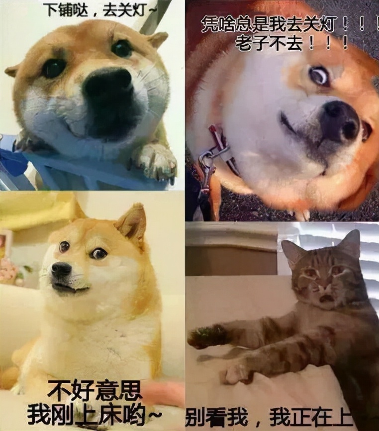 大学宿舍的“搞笑日常”，内容过于真实，网友：还真是卧虎藏龙