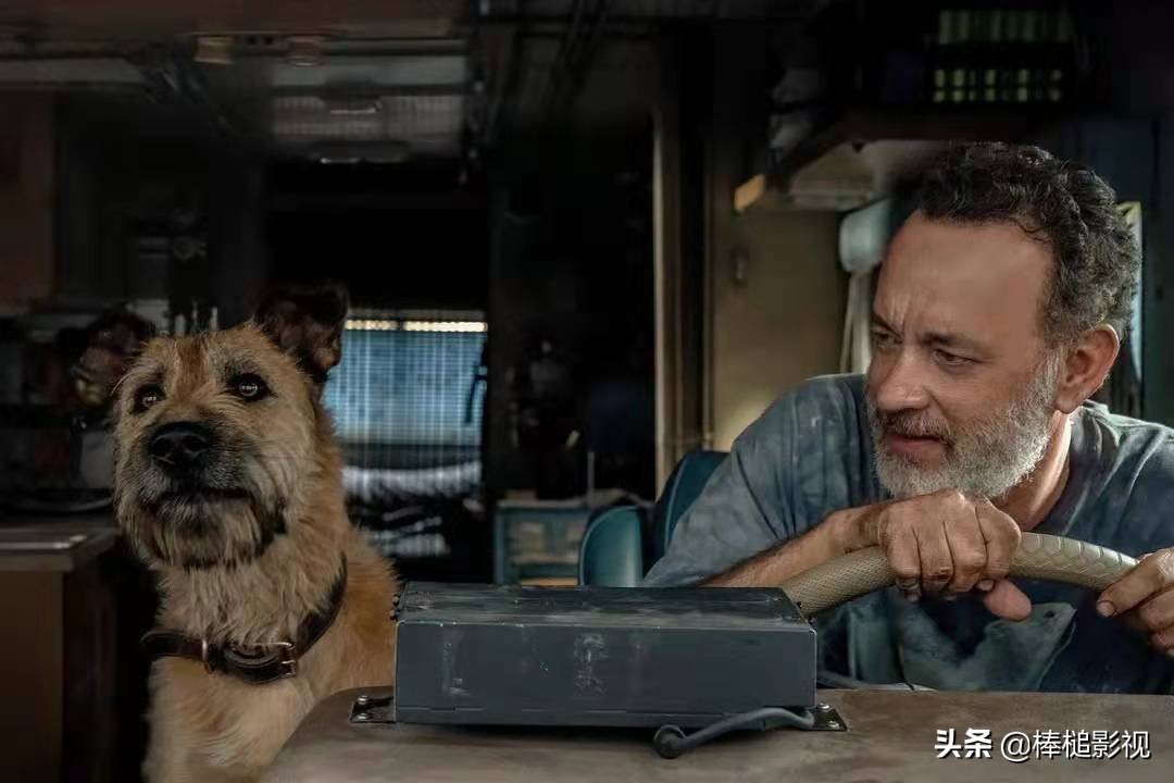 第14期：年度评分最高的10部外语电影，《小人物》爆爽，仅排第9