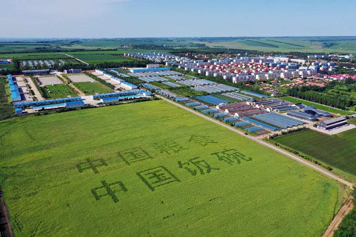 粮安天下——北大荒集团实现粮食高位增产的秘诀