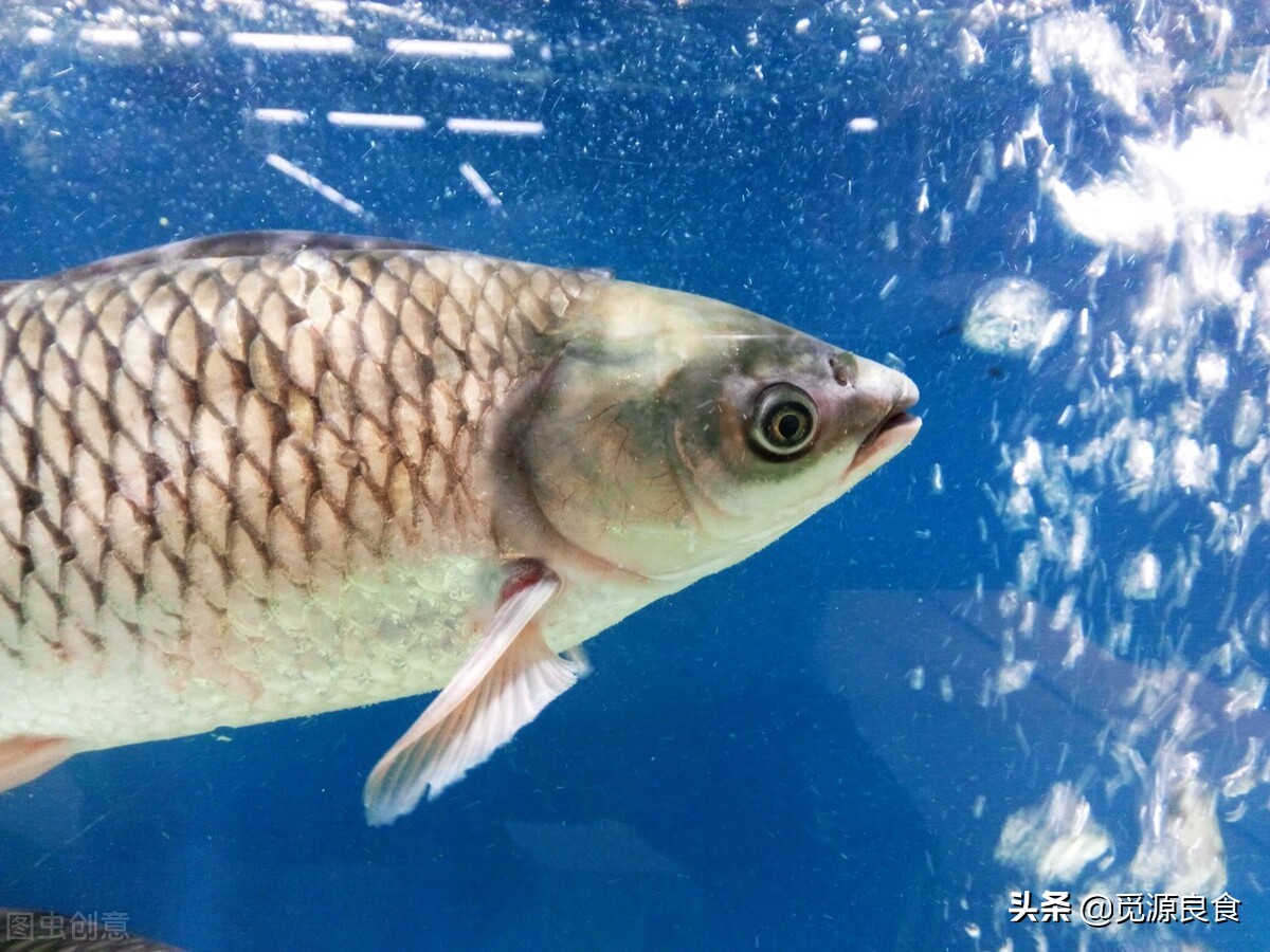 腊月二十六炸丸子，讲究“5放3不放”，肉丸子蓬松酥脆，放凉不硬