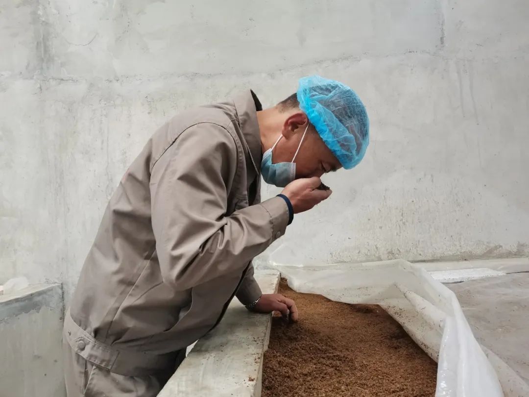 麦麸醋让乡村振兴更有滋味