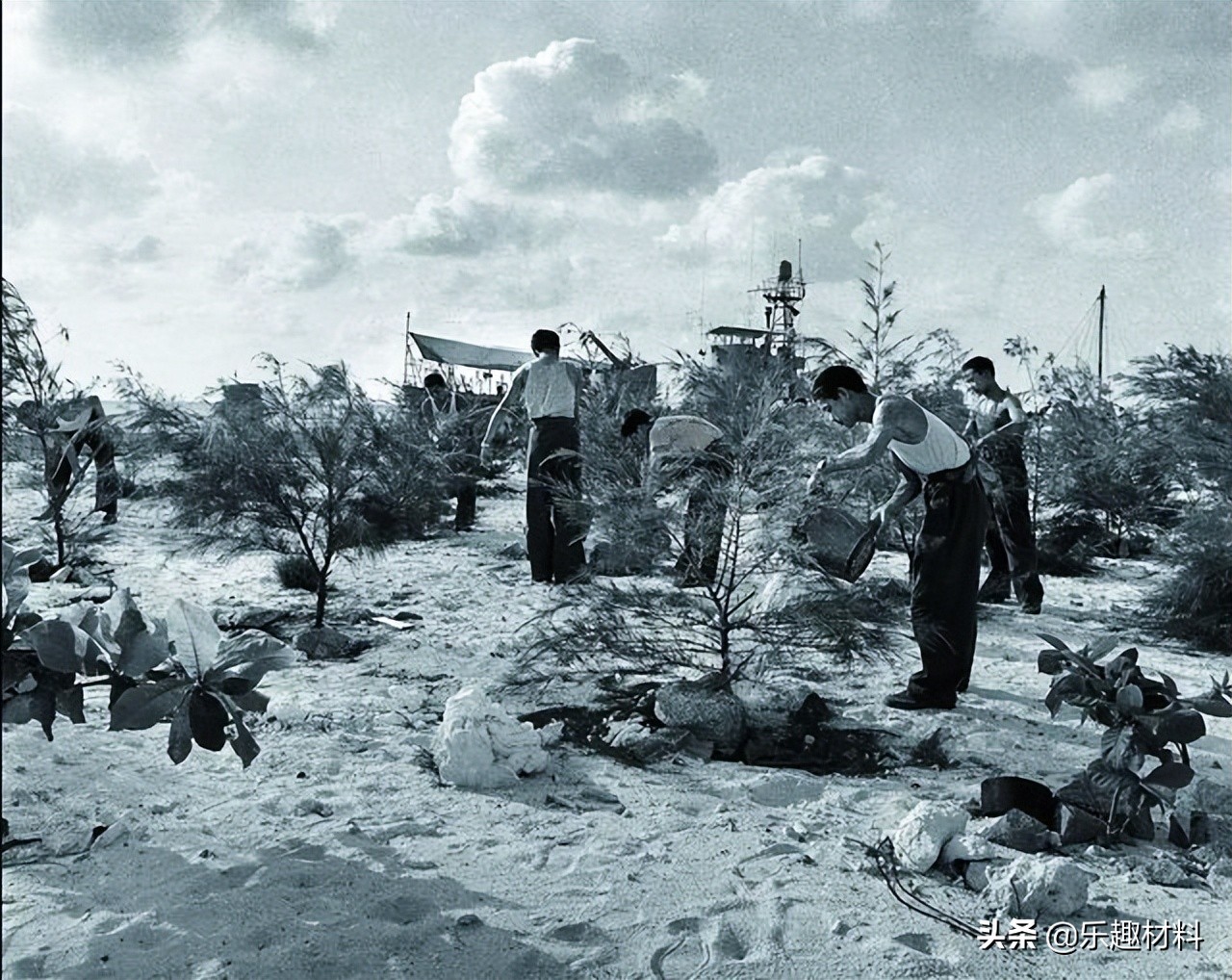 ����벻������ɳ�н����仯���֮�����ջ�̲�����ִ���ɫ�³�