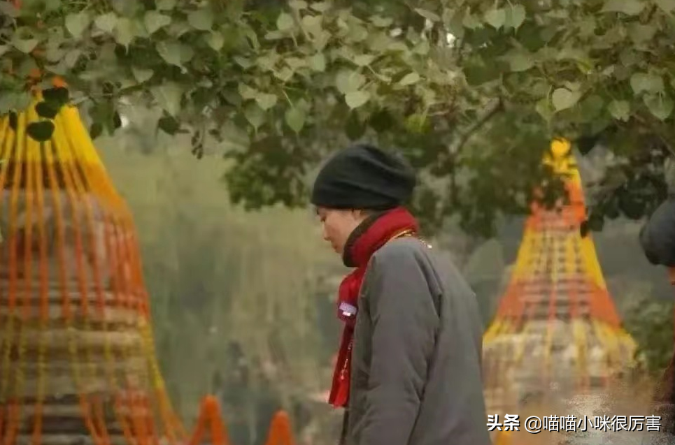 怪不得李亚鹏会娶小19岁的妻子，看了他历届的女友，就全明白了