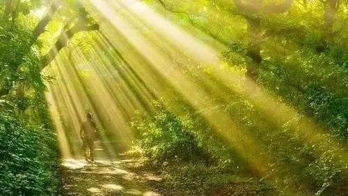 详细又全面,初中物理光现象之二《光的色散与物体的颜色》