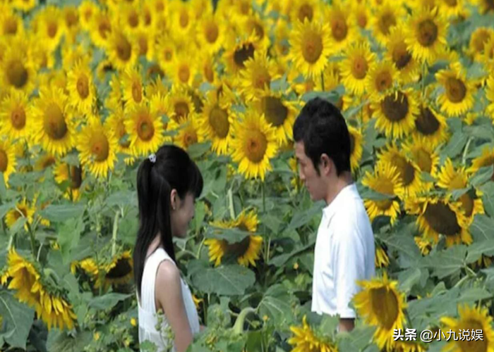 适合情人节看的日本电影，这9部经典爱情电影，适合和情人重看