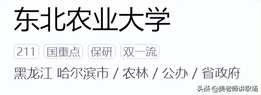 万字点评：全国31省市各排名前五共155所高校