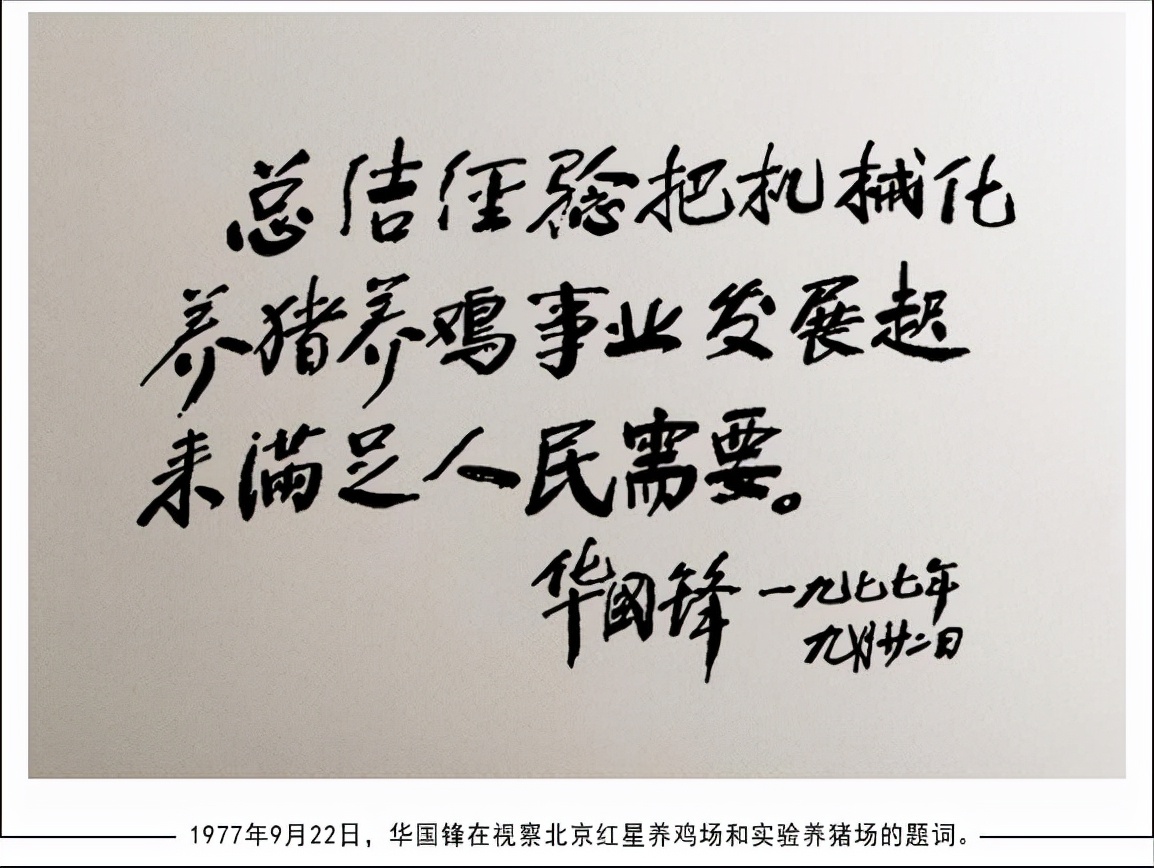 华国锋意外收到一封“意见信”，并回复：破除个人迷信请从我开始