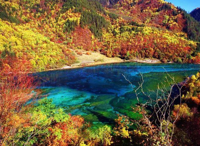 四川这些大学，入选为国内百强高校，川大排名进入前15名