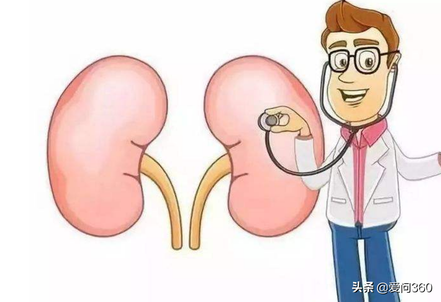 肾脏到底好不好，头发也能看出来，教你几个判断肾脏问题的方法