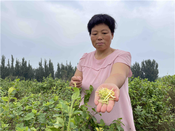 1281�ڣ�����Ͱ��׷������ƻ��ɼ��� ����18��������������¾ٴ�