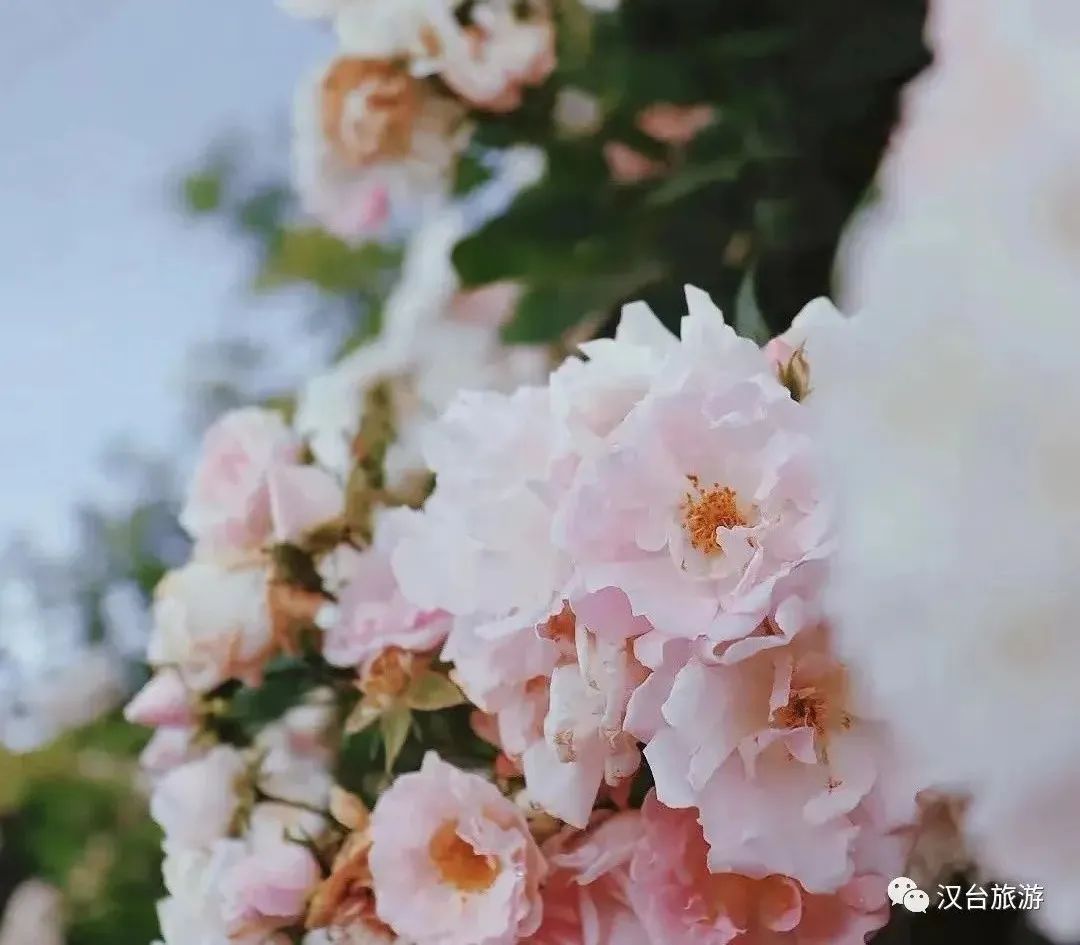 這是什么神仙地方?。繚h中這個(gè)寶藏地出圈又出片！