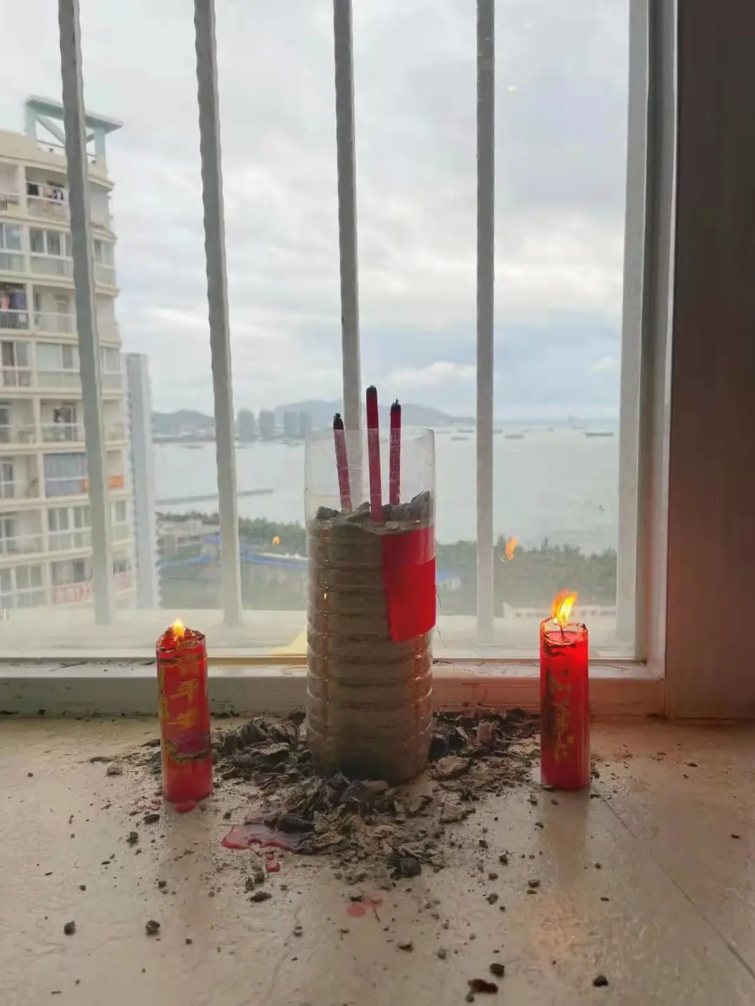 虎年新春!回顾重大人的春节展会