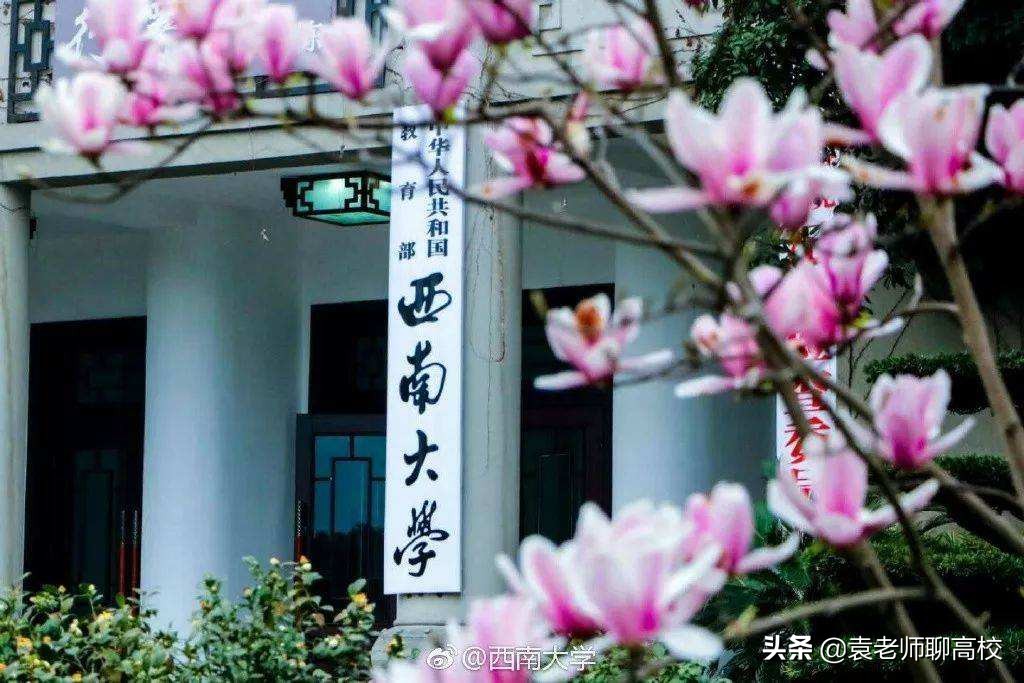 两所教育部直属211师范大学，西南大学和陕西师范大学，谁更强？