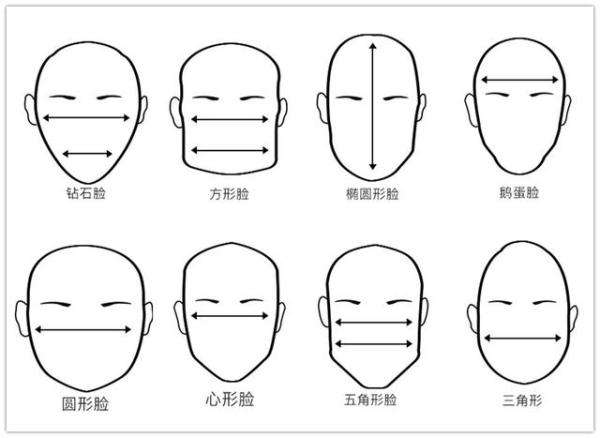 脸型分类图解图片