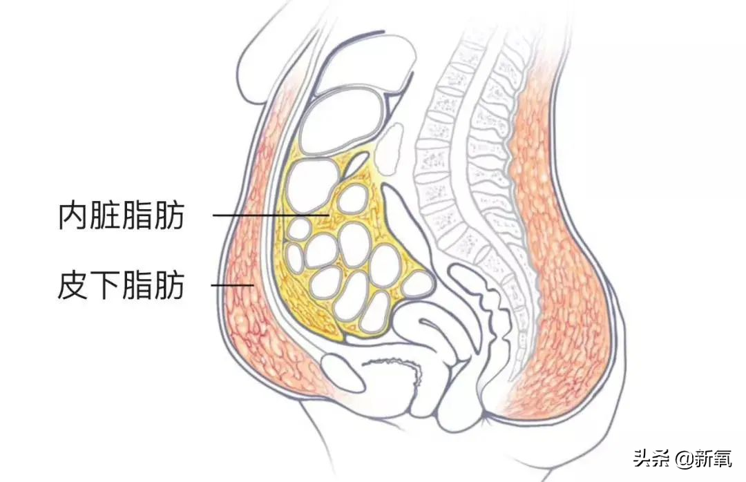 他俩都甜到被怀疑是绯闻变前任了，怎么还有人注意到她肚子没收住