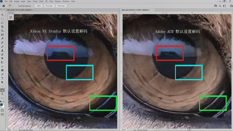 尼康Z9 非洲实战测评（一）优秀的高感画质