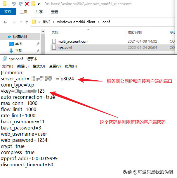 NPS內網穿透
