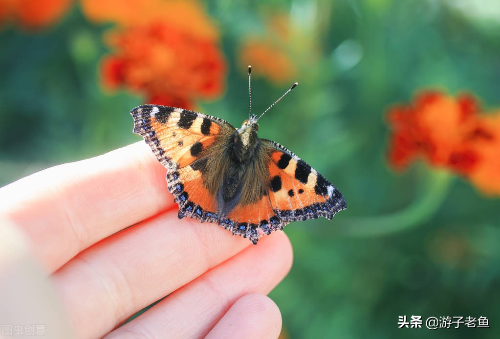 那次不经意的离开，成为我许久不变的悲哀