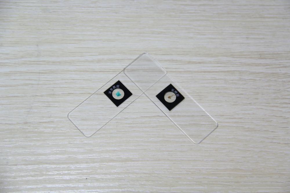 星特朗便携显微镜：你将随时看到不一样的世界