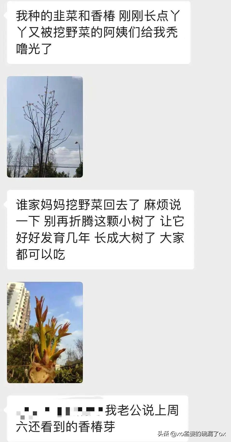 我在上海隔离：“小区是上周封的，人是这周疯的”