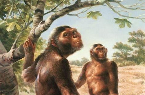 現代人類真的起源于非洲嗎？